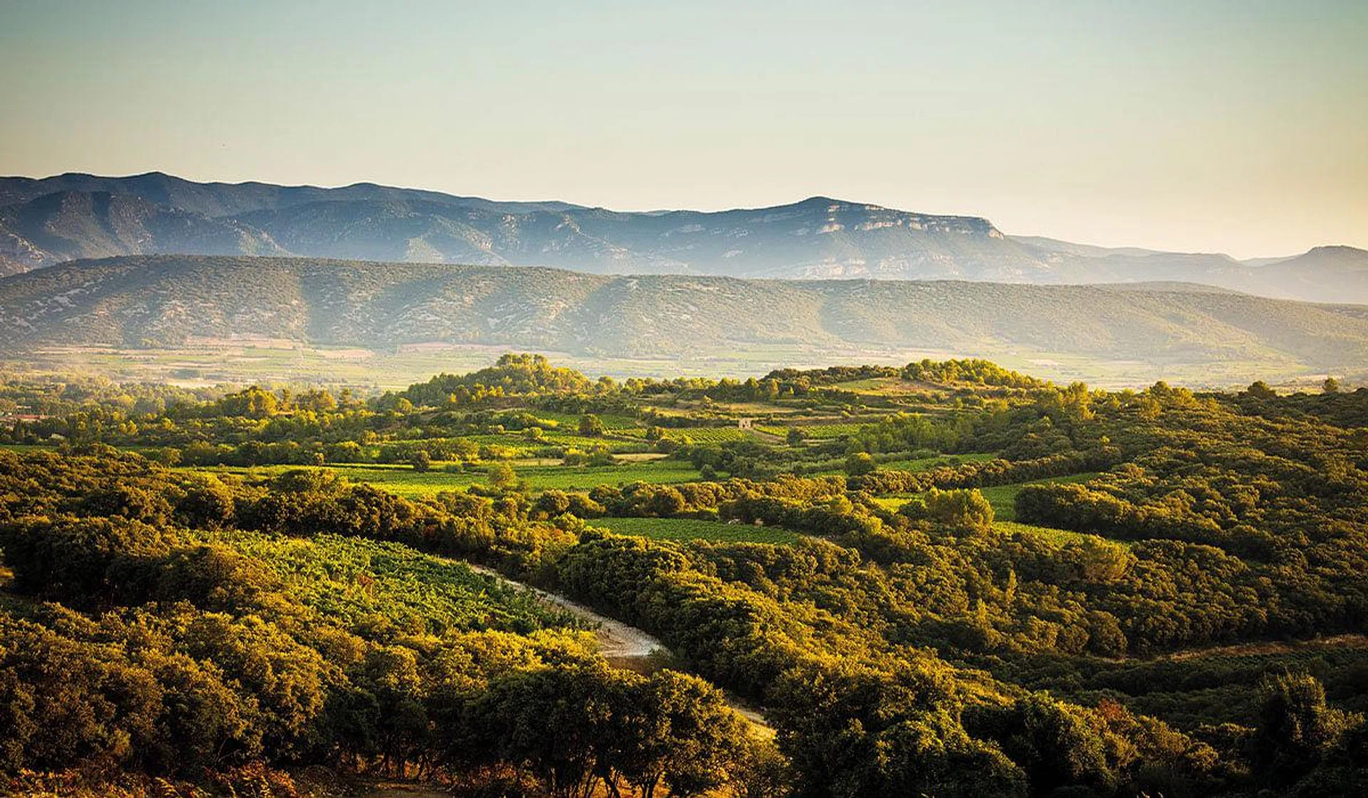 Mas de Daumas Gassac located in the heart of the Herault Valley in the Languedoc region.