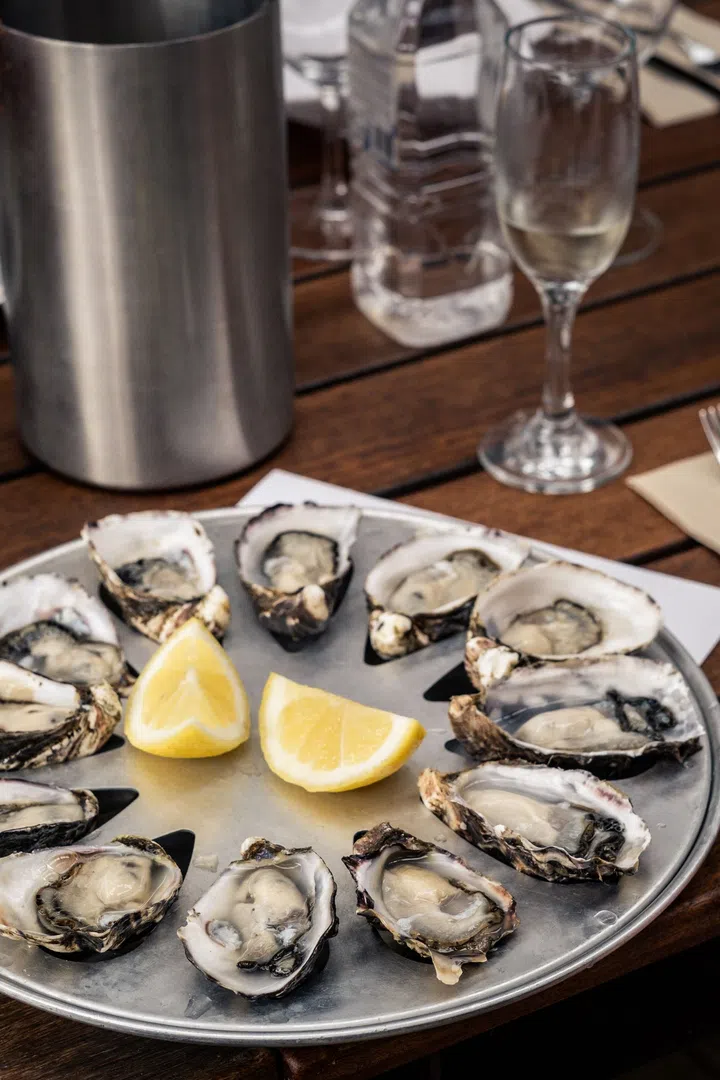 best tasmania farm experiences