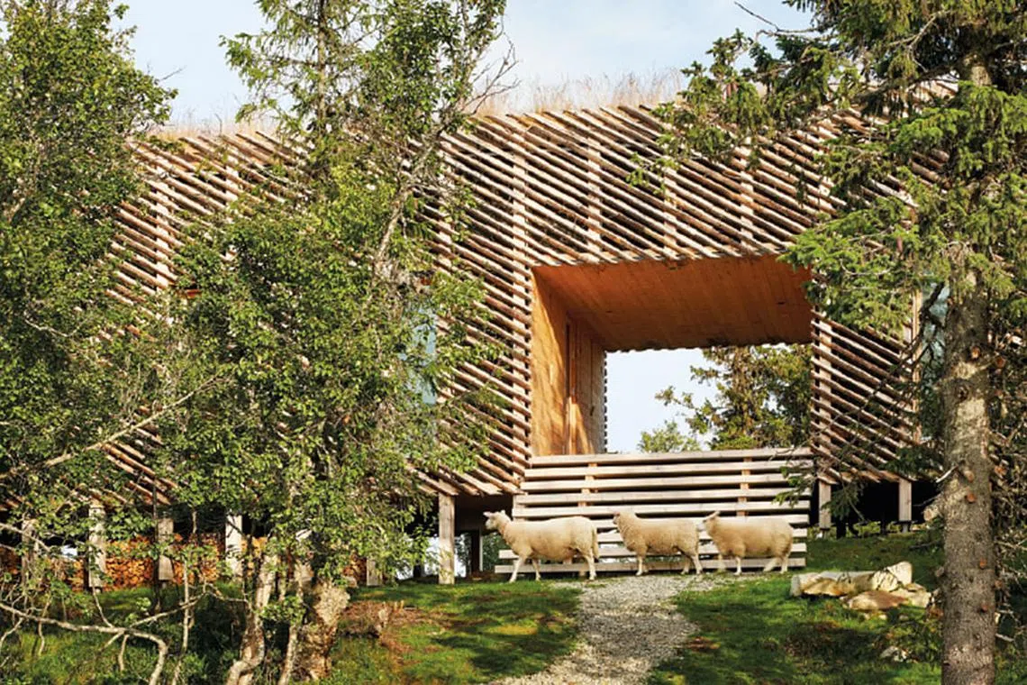 Picture of Luxury homes: A dreamy retreat on a Norwegian mountain - The Peak ...