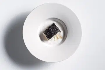 Preludio Patagonion toothfish white opal