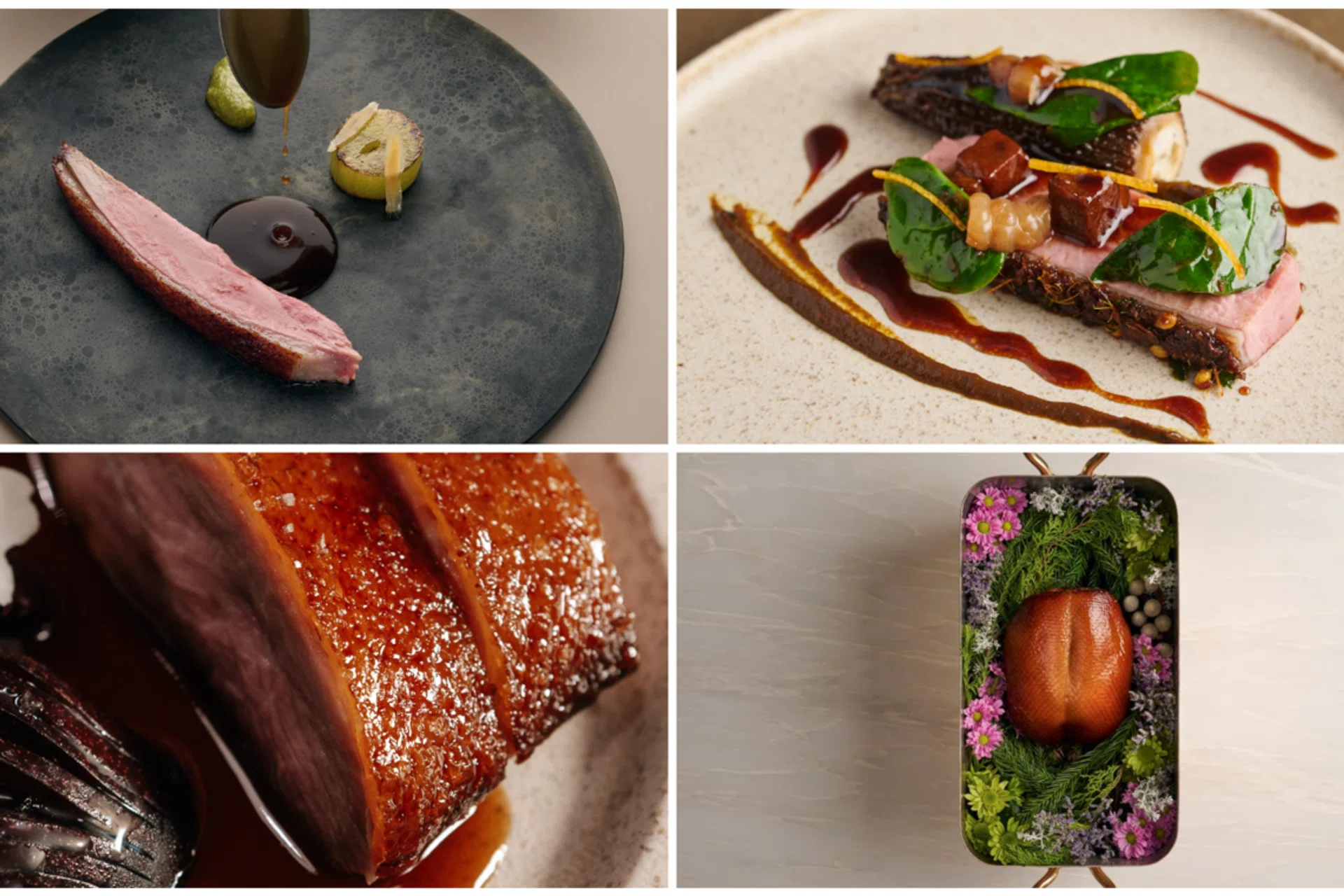 duck dishes