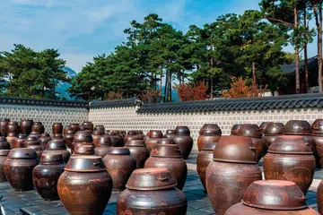 Kimchi Pots 2