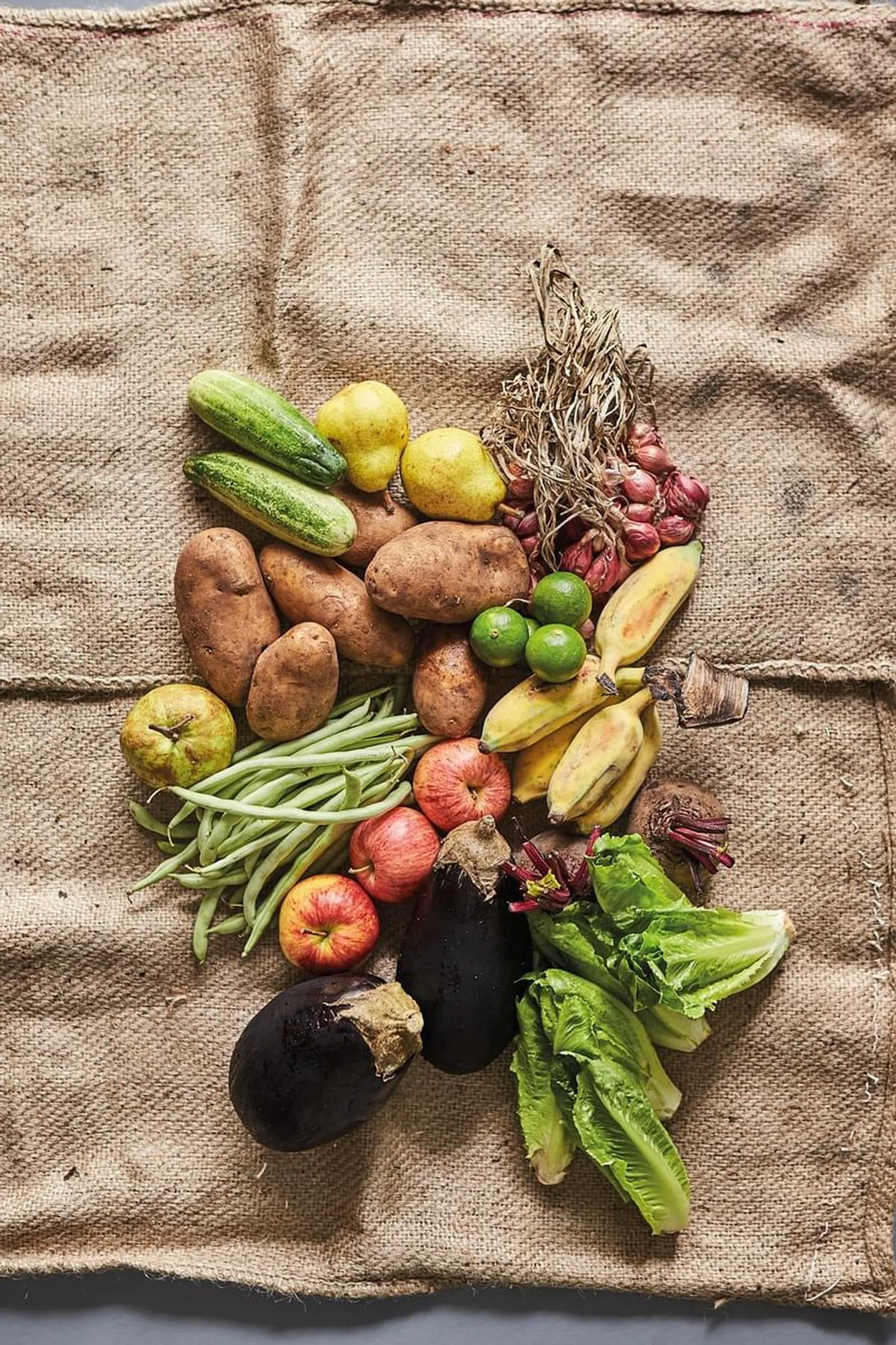 MODERN COMMUNE
Through Shiok Farm, Claire Chabrieres brings together a community of individuals and families who share a love for organic produce.