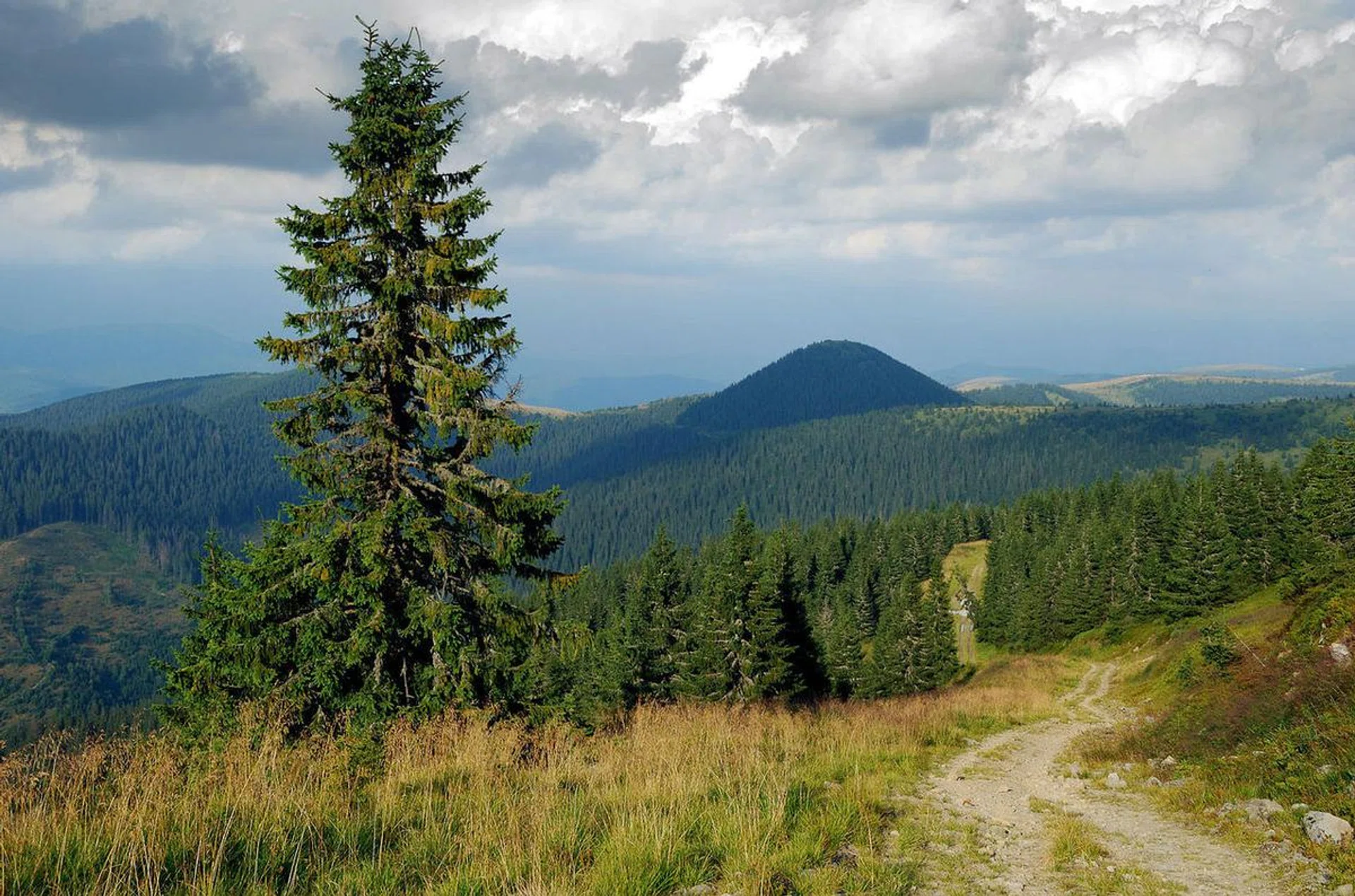 The Carpathians PHOTO: freeimages.com / ivan cruz