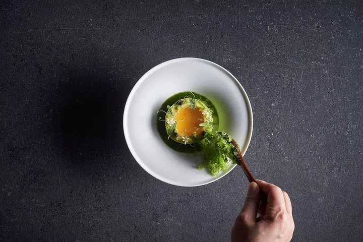 Lolla Restaurant_Singapore_Avocado, Smoked Eel, Eel Consomme, Yuzu