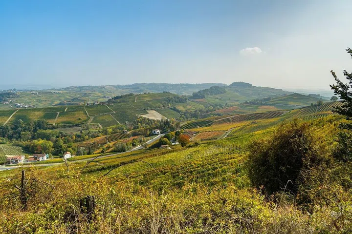 barolo
