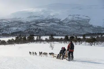 dog-pulled sled in a snowy landscape with a snow-capped mountain backdrop