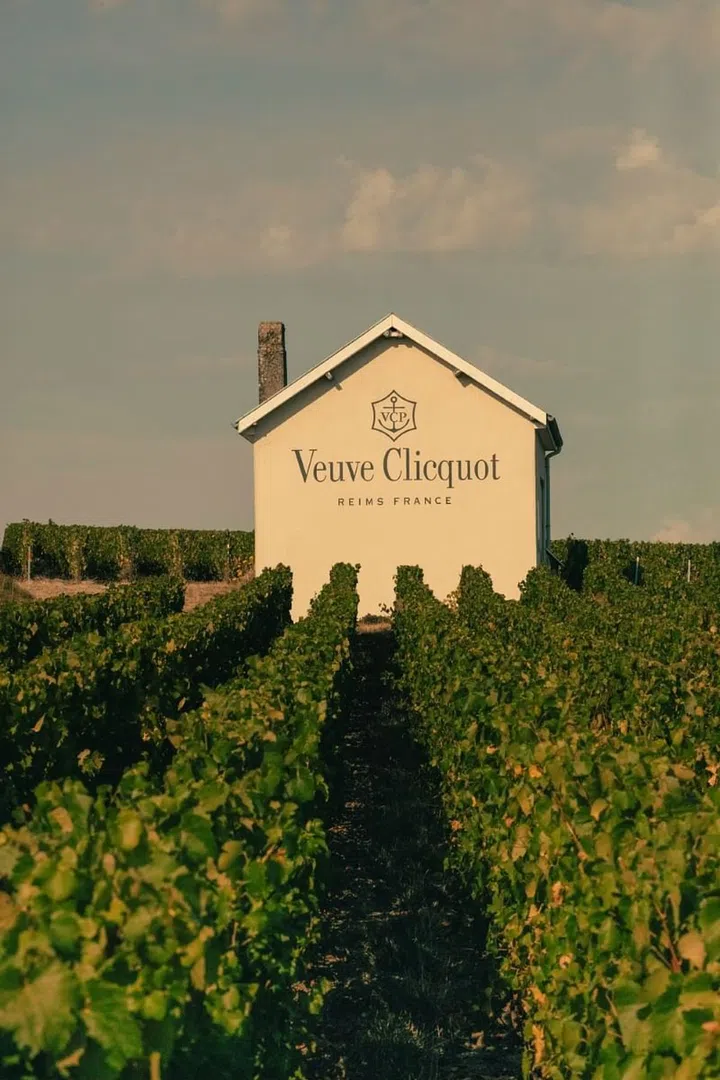 Veuve Clicquot vineyard. (Photo: Veuve Clicquot)