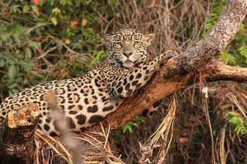 post-pandemic travel