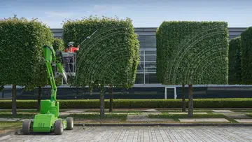 Nature at Rolls Royce