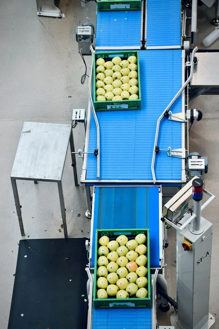 Inside an apple processing company in northern Italy. (Photo: Unsplash, Arno Senoner)