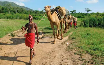 These luxury safari tours