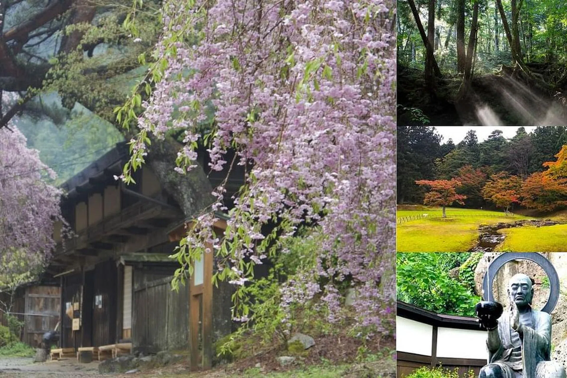Japan Nature