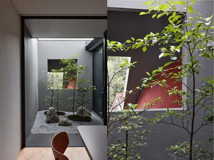 Little incidents with nature have been orchestrated throughout the house. (Photo: Derek Swalwell)