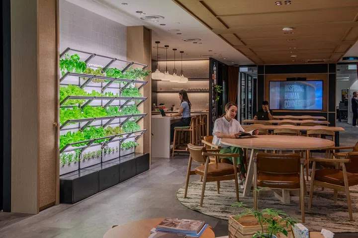 An example of Grobrix’s soilless green wall system (Image: Grobrix)