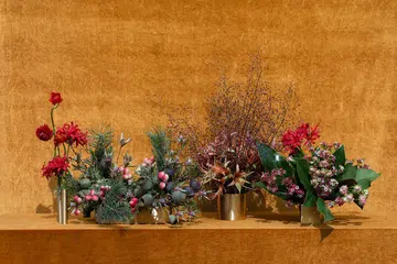 Home Decor Humid House