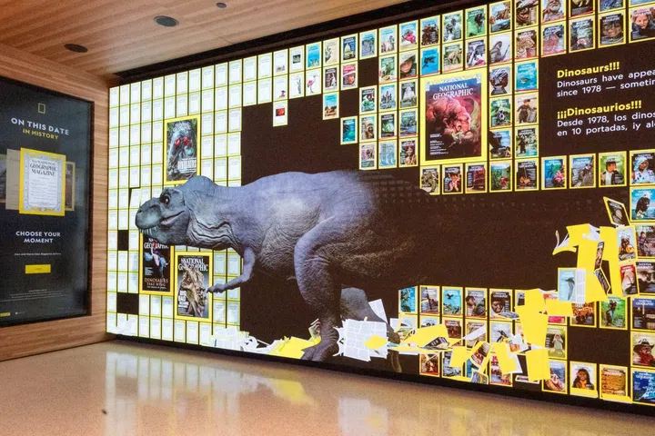 At the Museum of Exploration, visitors can experience stories from across the world, shared using innovative technology, immersive displays, artifacts, and archive materials