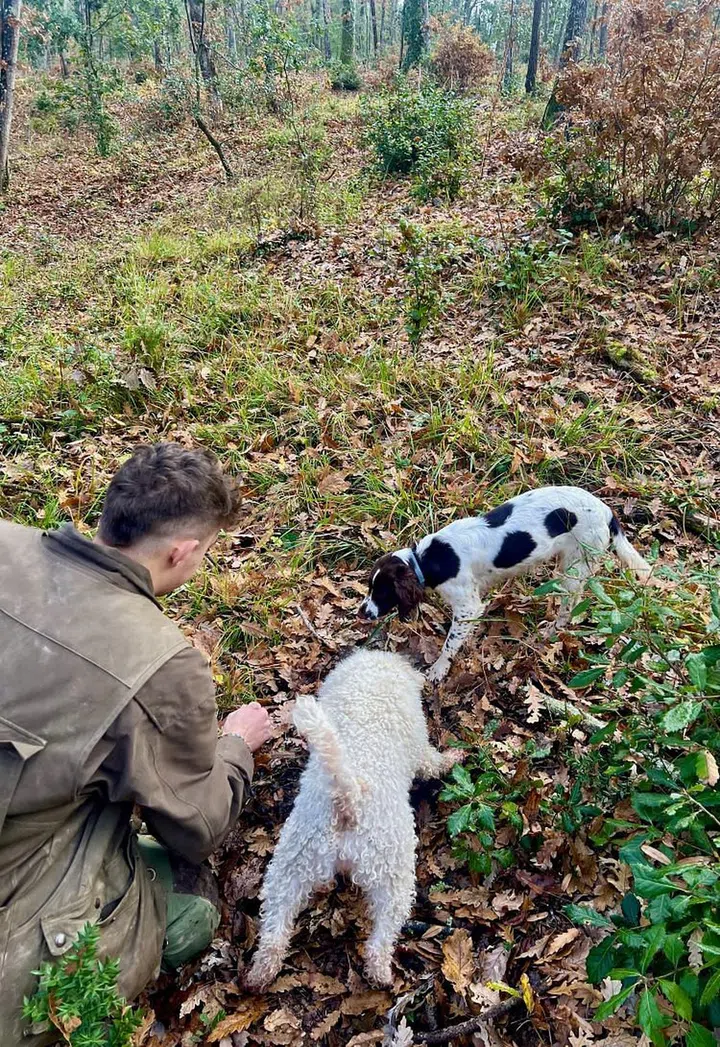 Nasi with Lily, a springer-spaniel puppy, and Brisa, a Lagotto Romagnolo. (Photo: Mavis Teo)