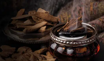 Agarwood