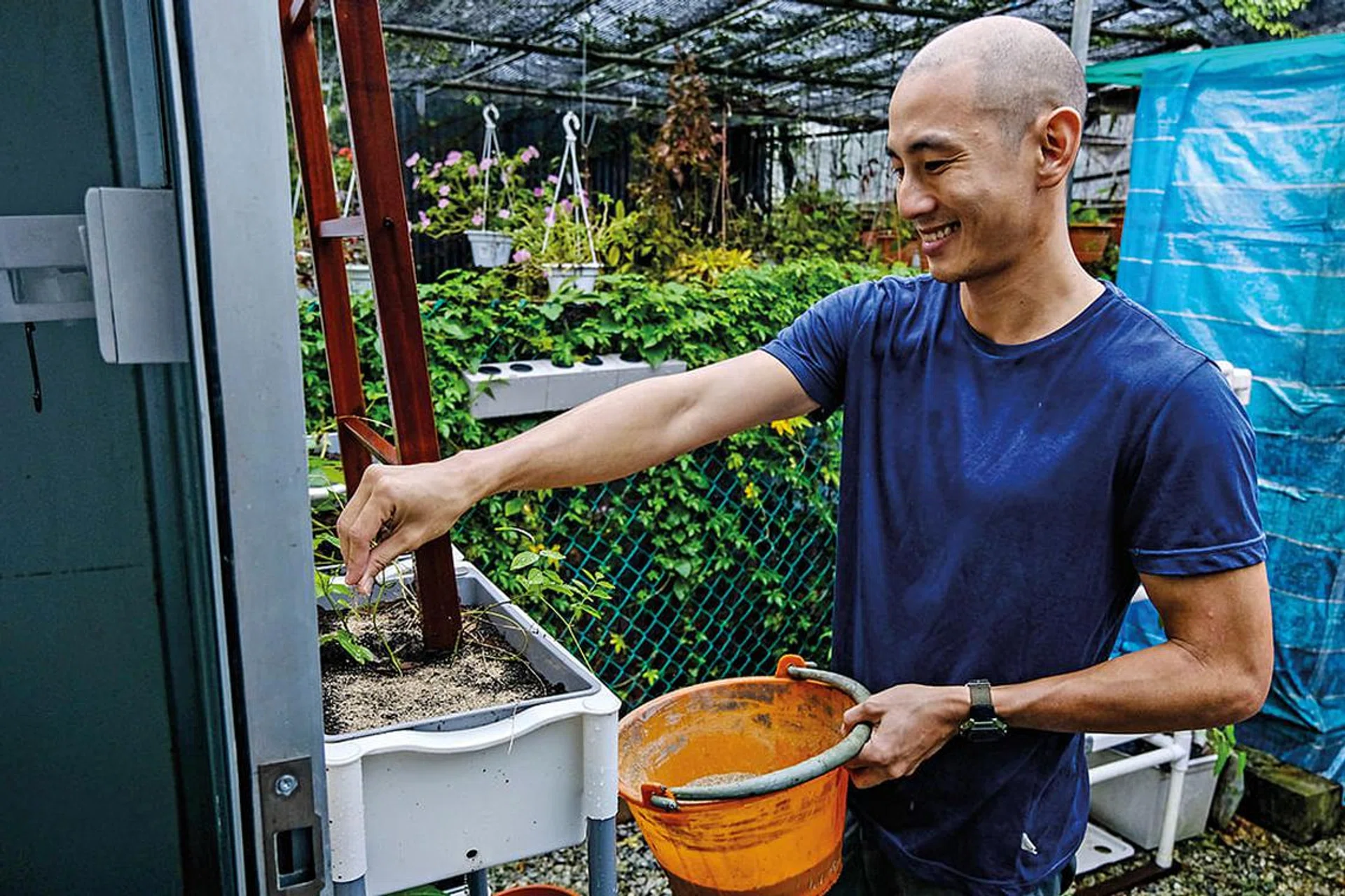 Future Protein Solutions CEO Christopher Leow scatters cricket frass on plants, which will be fed to crickets, creating a circular economy.