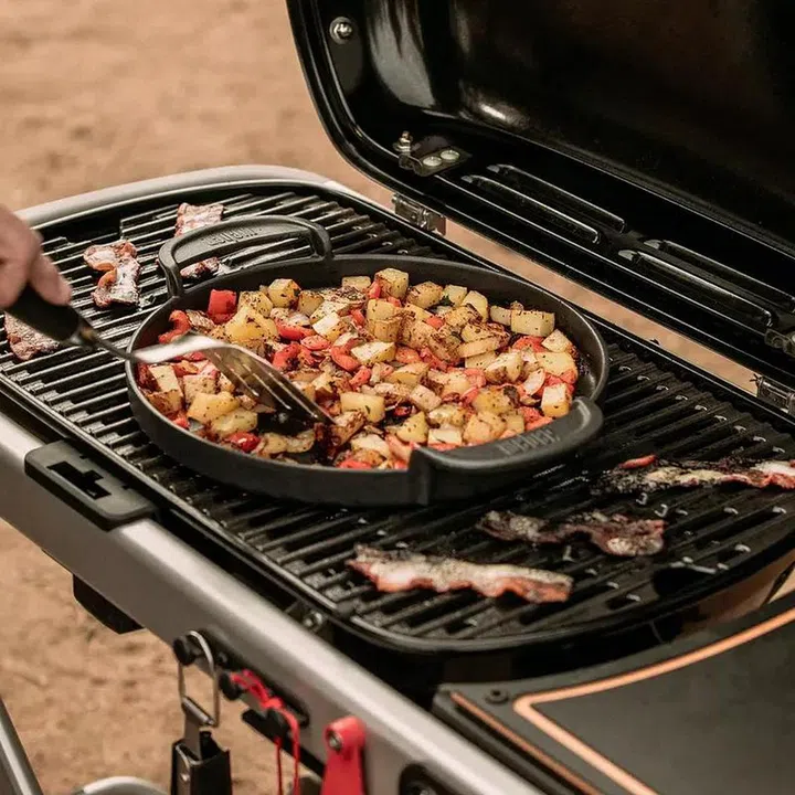 Traveler Portable gas grill