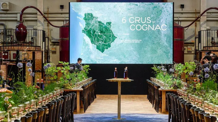 A map of the Crus of Cognac. (Photo: Martell)