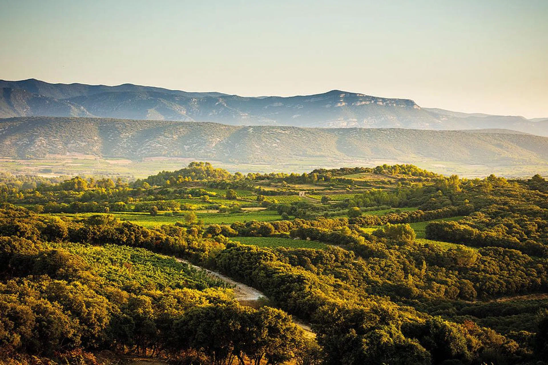 Mas de Daumas Gassac located in the heart of the Herault Valley in the Languedoc region.