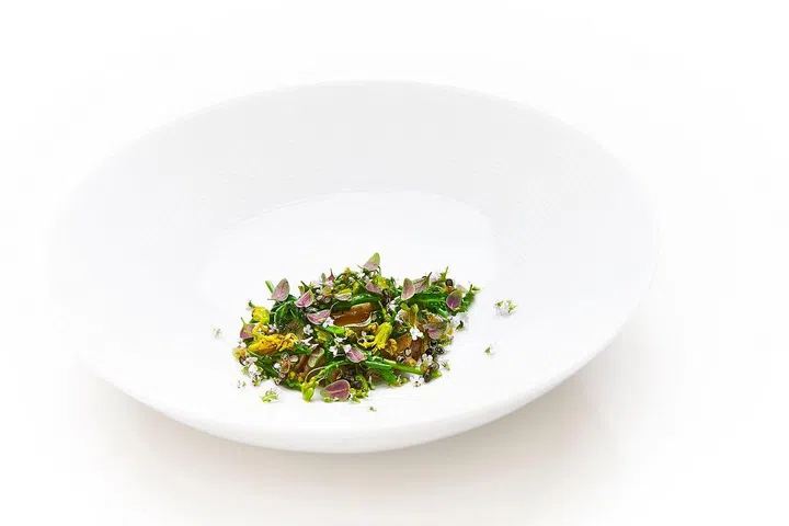 Chicken & Morels, Green Cabbage Sprouts, Smoked Chicken Fat & Hops from restaurant Geranium