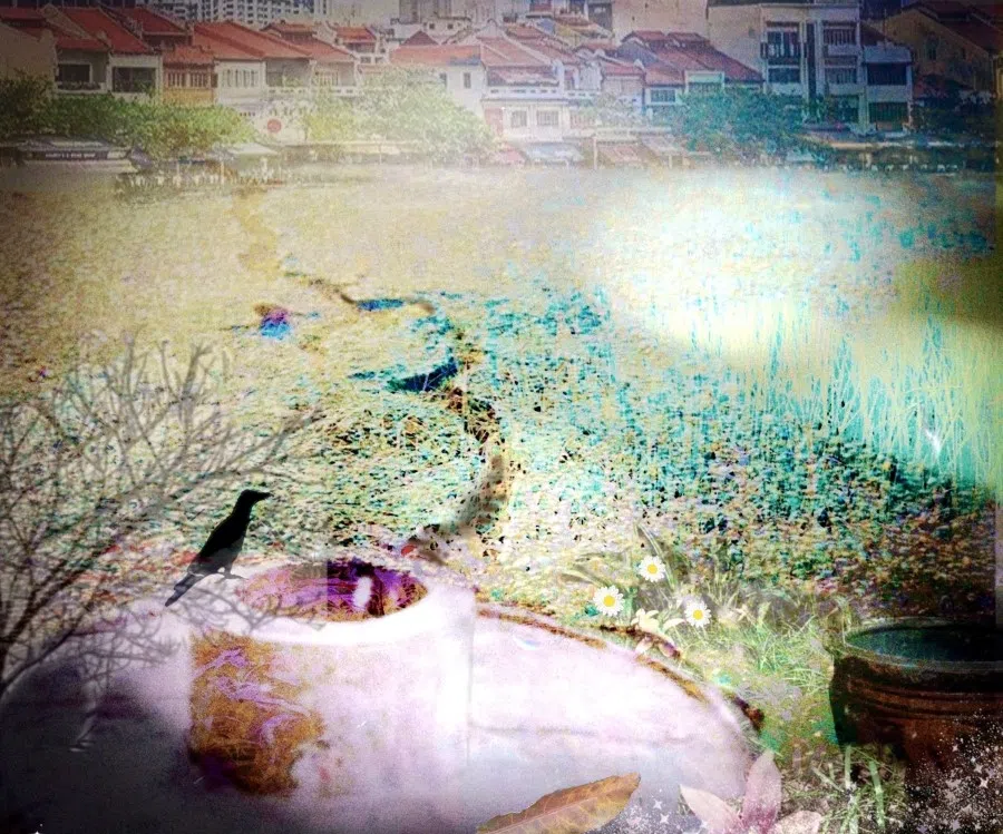 Water used to come from wells rather than taps in Singapore. (Ng Yak Hwee/Courtesy of Chew Wee Kai)