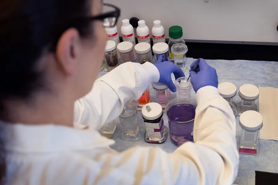 A scientist works in a lab in the University of Illinois Chicago on 5 March 2025 in Chicago, Illinois. Researchers at universities around the country, who rely on federal grants from the National Institutes of Health to fund their research, are concerned about the future of their projects after the Trump administration cut funding for indirect costs that help universities to operate the research labs. (Scott Olson/AFP)