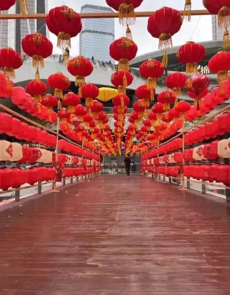 The COCOPARK mall took in public complaints and changed the colour of the lanterns. (Internet)