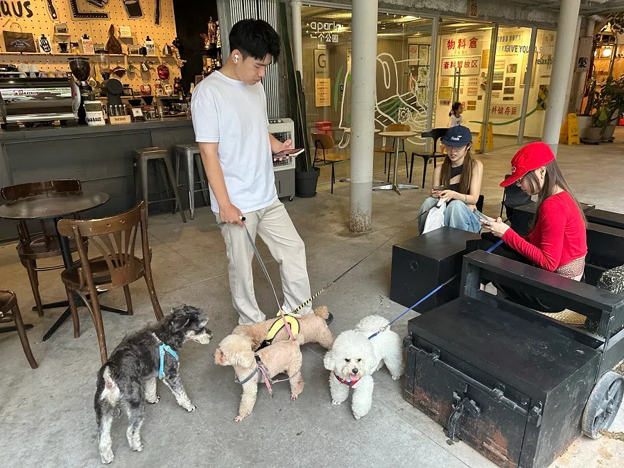 The post-80s and post-90s generation are the main force of pet ownership in China.