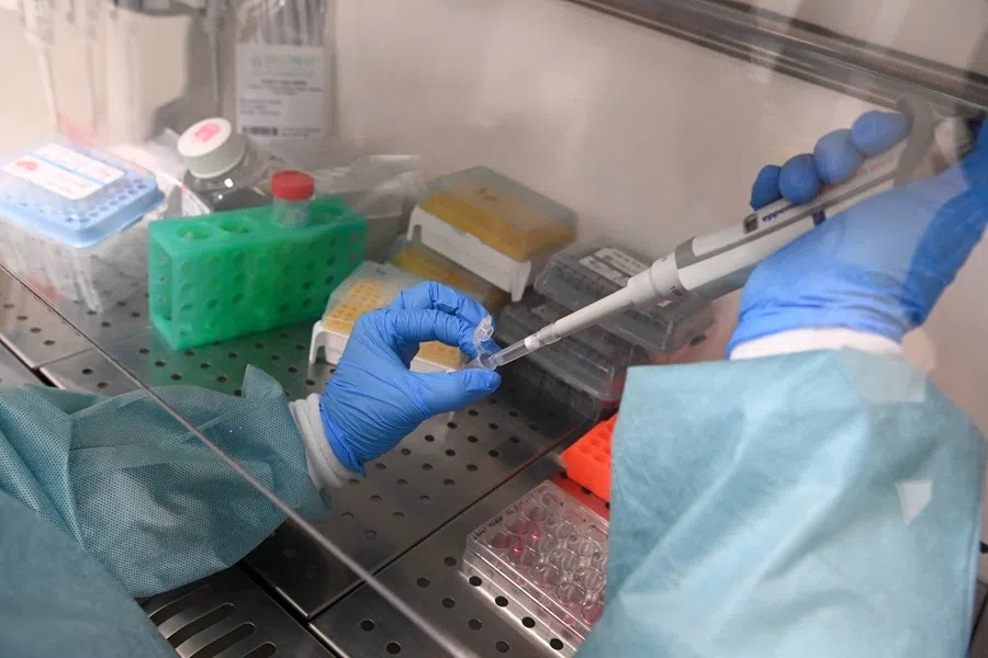A researcher works on an mRNA transcription reaction, using a pipette marked "RNA" at the Inserm ART-RNAm laboratory of the CHR (Regional Hospital Centre), in Orleans, France, on 18 November 2025. (Jean-Francois Monier/AFP)