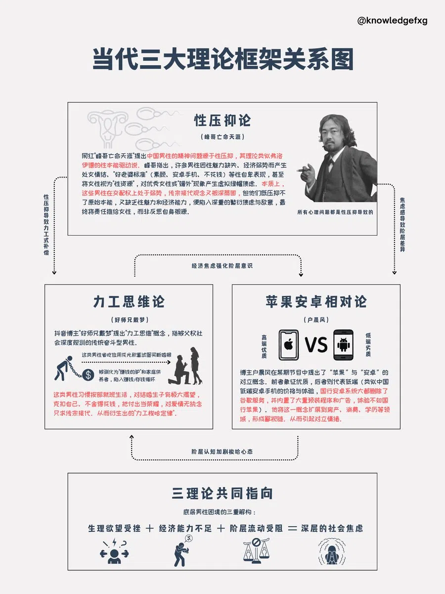 A framework chart of the “three main theories” that attribute the plight of the male Chinese underclass to its repressed biological urges, inadequate finances and limited social mobility. (X/@knowledgefxg)