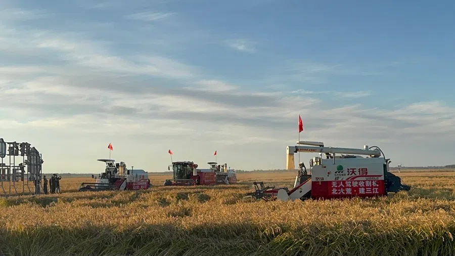 Autonomous harvesters working in paddy fields at the Qixing Farm, Beidahuang, Heilongjiang, China, on 29 September 2026.
