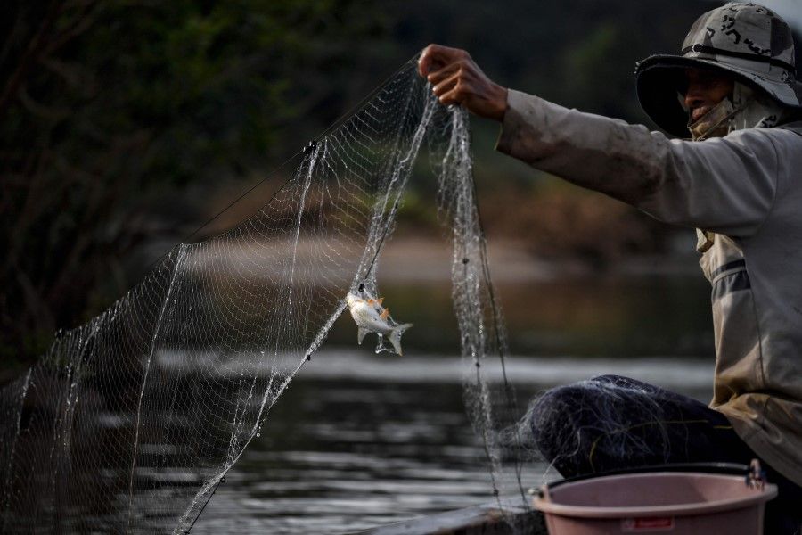 A fisherman checks his net along the Mekong River at Sangkhom district, in the northeastern Thai province of Nong Khai. (Lillian Suwanrumpha/AFP)