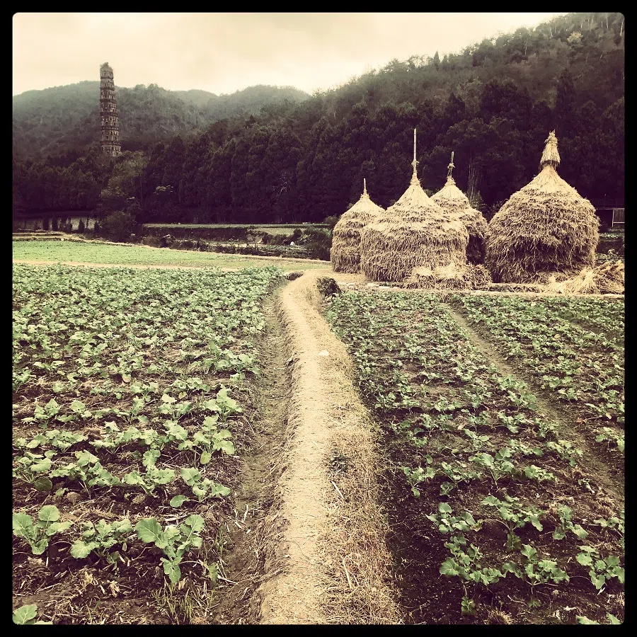 Tiantai, Zhejiang, China.