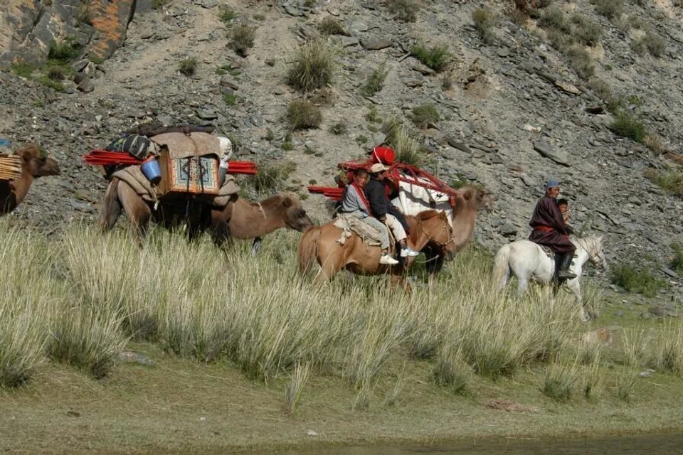 The horse that saved me on the Mongolian steppe