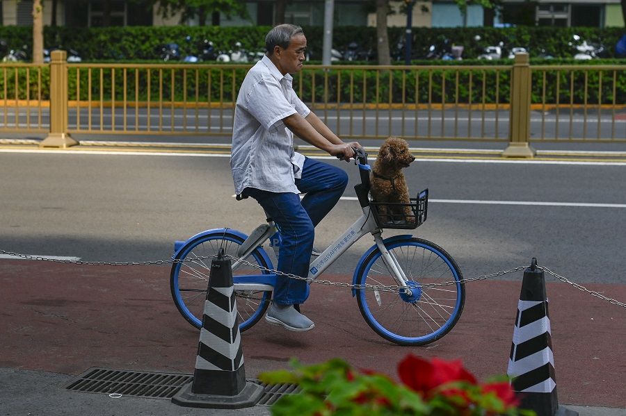 An elderly man rides a sharing bicycle with his dog in a basket along a road in Beijing, China, on 23 September 2021. (WangZhao/AFP)