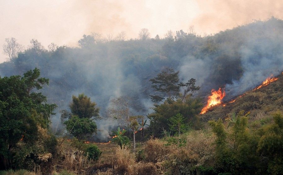 A forest fire works its way along the banks of the Mekong River in Laos, 2010. (Nirmal Ghosh/SPH)