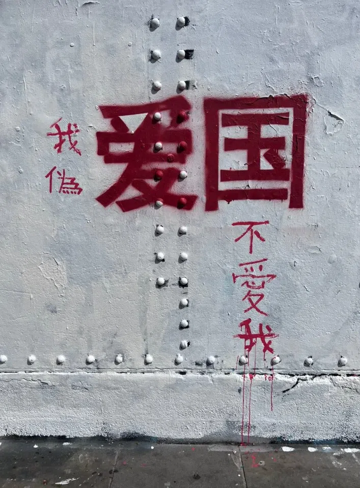 Locals have added to the graffiti, such as saying they pretend to love their country but it does not love them. (@whyyoutouzhele/Twitter)