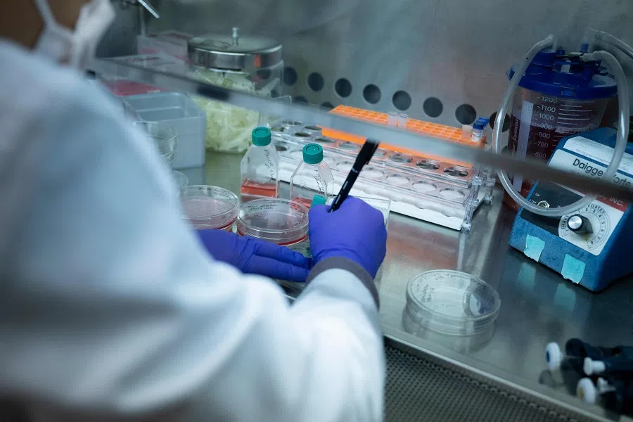 Cell lines are prepared in the laboratory of Dr. John Tisdale, a Senior Investigator at the National Heart, Lung, and Blood Institute’s Cellular and Molecular Therapeutics Laboratory, at the National Institutes of Health on 8 February 2024 in Maryland, US. (Brendan Smialowski/AFP)