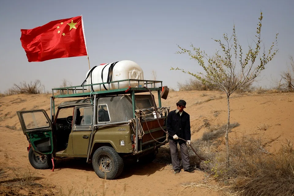 A man waters a tree planted on the edge of the Gobi desert on the outskirts of Wuwei, Gansu province, China, 15 April 2021. (Carlos Garcia Rawlins/Reuters)