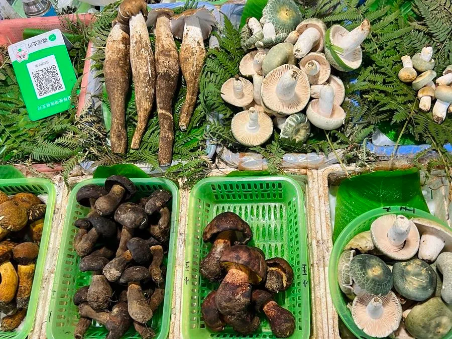 Mushrooms on sale at Zhuanxin Farmers’ Market, Kunming, Yunnan. (Photo: Yeo Sam Jo)