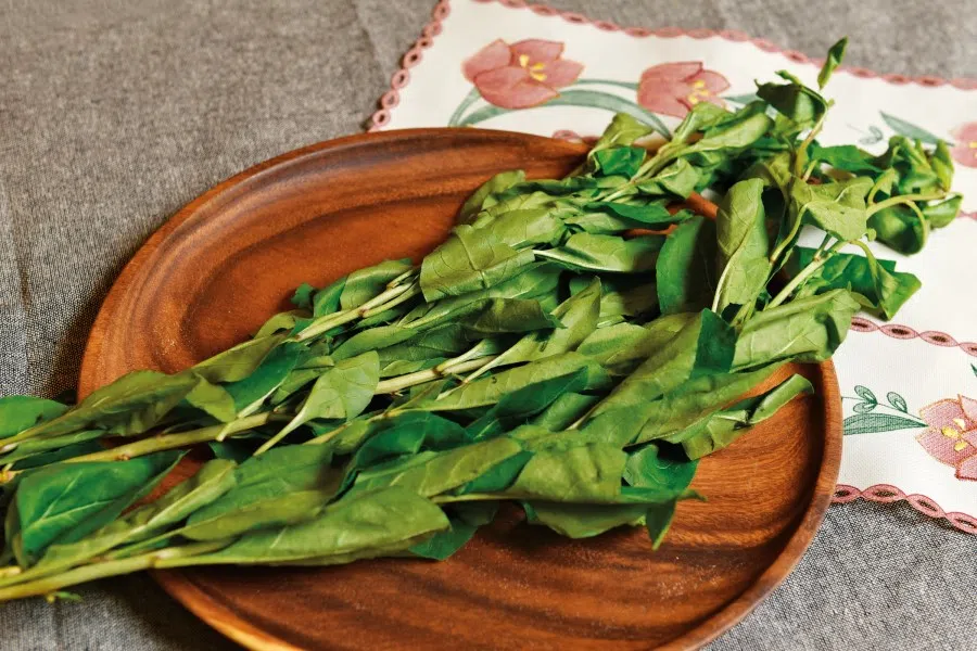 Wolfberry leaves are part of the vegetable selection in northwest China. (SPH Media)