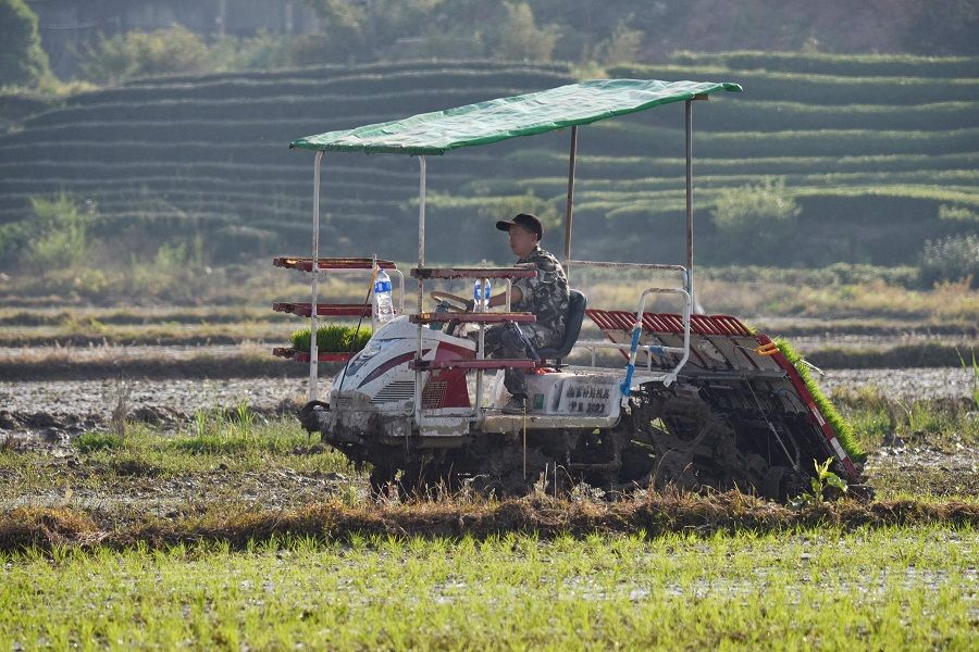 A farmer seeds rice with a seeding machine in a field in Wuyi, Zhejiang province, China, on 12 April 2022. (AFP)