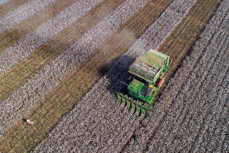 This file photo taken on 14 October 2018 shows a harvester working in a cotton field in Hami in China's northwestern Xinjiang region. (STR/AFP)