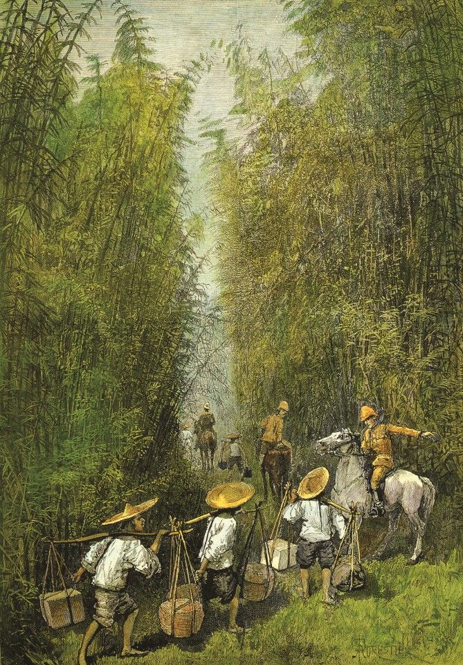 An illustration in the March issue of the Illustrated London News, 1890, showing British travellers adventuring in Taiwan while locals help with carrying luggage as they move deep into the thick bamboo forest.