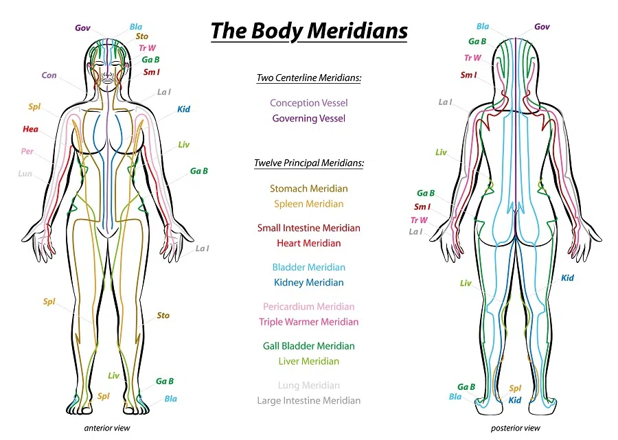 The TCM meridian system. (iStock)