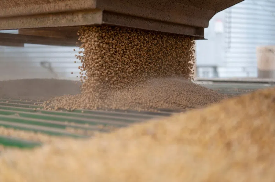 Harvested soybeans are moved from a grain truck to a storage silo on a farm near Gregory, Arkansas, US, 24 October 2025. (Rory Doyle/Bloomberg)